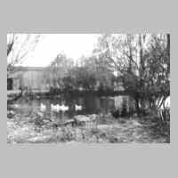 103-0025 Der Hofteich mit Pferdeschwemme. Im Hintergrund die Scheune.jpg